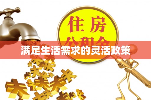 武都满足生活需求的灵活政策