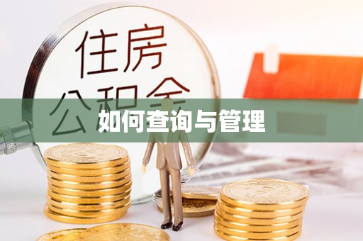武都如何查询与管理