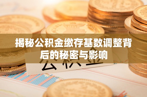 武都揭秘公积金缴存基数调整背后的秘密与影响