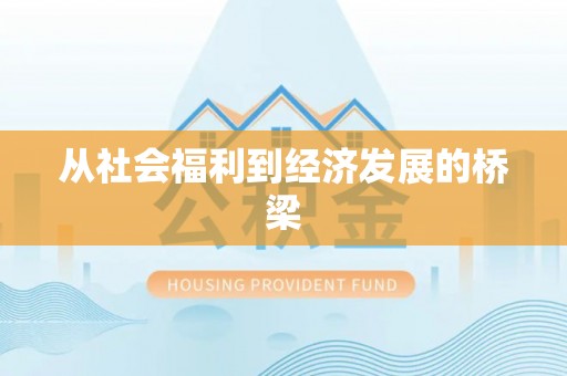 武都从社会福利到经济发展的桥梁