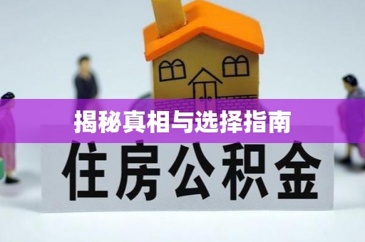 武都揭秘真相与选择指南