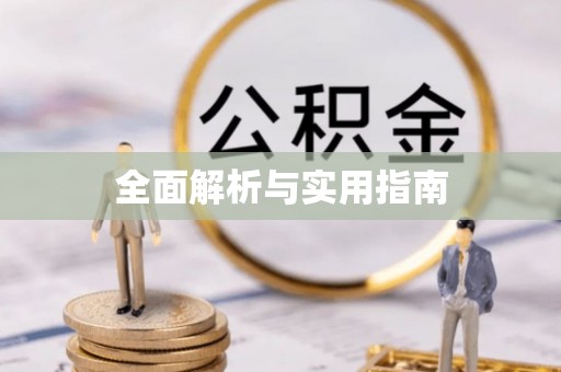 武都全面解析与实用指南