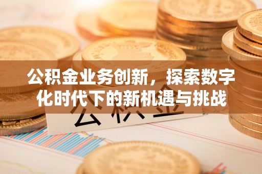 武都公积金业务创新，探索数字化时代下的新机遇与挑战