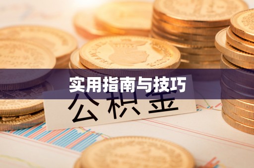 武都实用指南与技巧