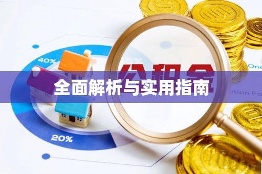 武都全面解析与实用指南