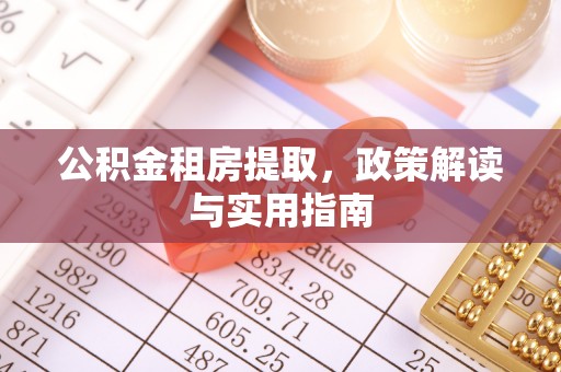 武都公积金租房提取，政策解读与实用指南