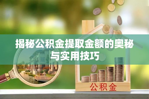 武都揭秘公积金提取金额的奥秘与实用技巧