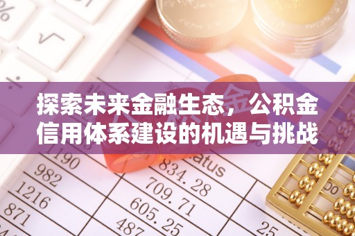武都探索未来金融生态，公积金信用体系建设的机遇与挑战