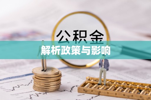 武都解析政策与影响