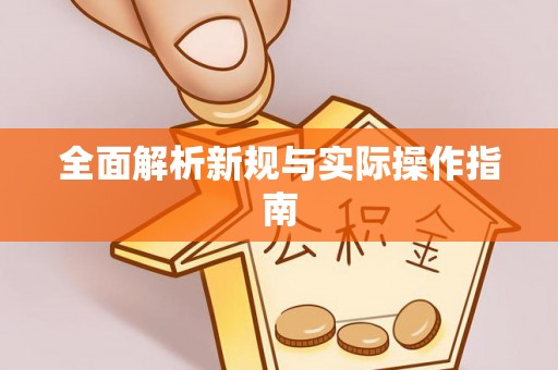 武都全面解析新规与实际操作指南