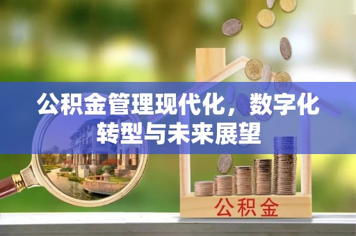 武都公积金管理现代化，数字化转型与未来展望
