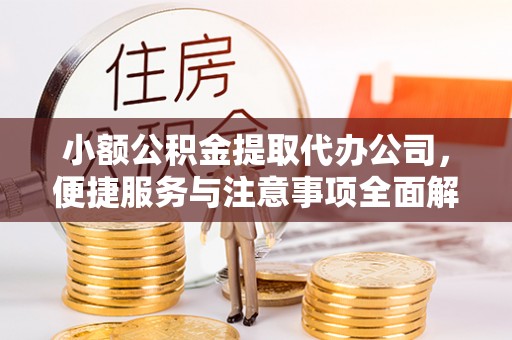 武都小额公积金提取代办公司，便捷服务与注意事项全面解析