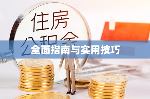 武都全面指南与实用技巧