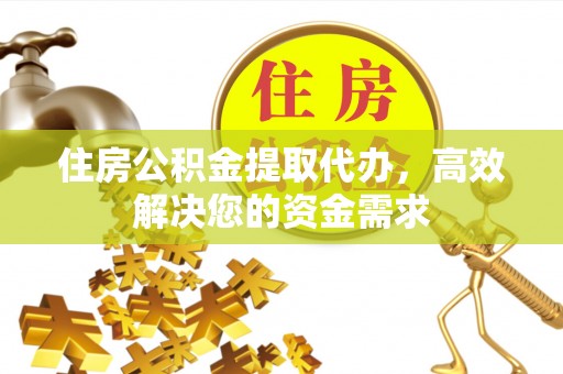 武都住房公积金提取代办，高效解决您的资金需求