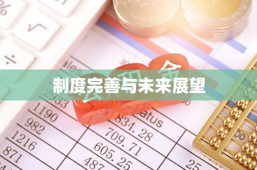武都制度完善与未来展望