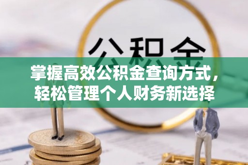 武都掌握高效公积金查询方式，轻松管理个人财务新选择