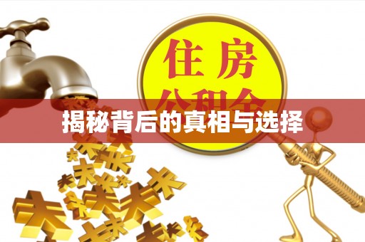 武都揭秘背后的真相与选择