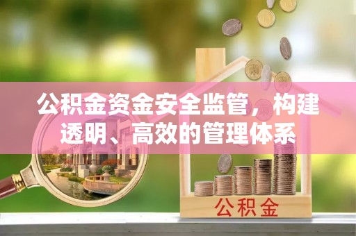 武都公积金资金安全监管，构建透明、高效的管理体系