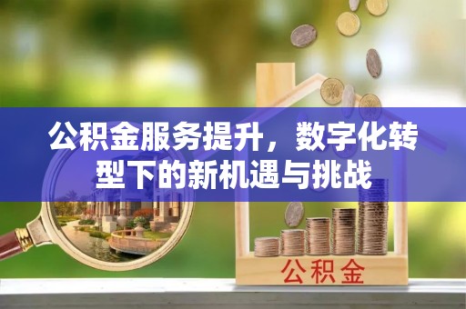武都公积金服务提升，数字化转型下的新机遇与挑战