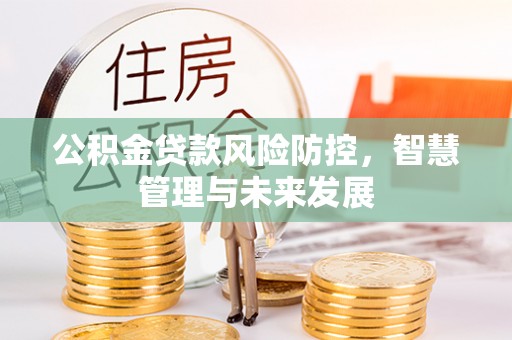 武都公积金贷款风险防控，智慧管理与未来发展