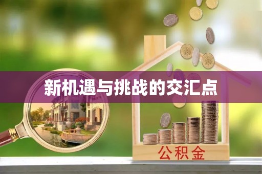 武都新机遇与挑战的交汇点