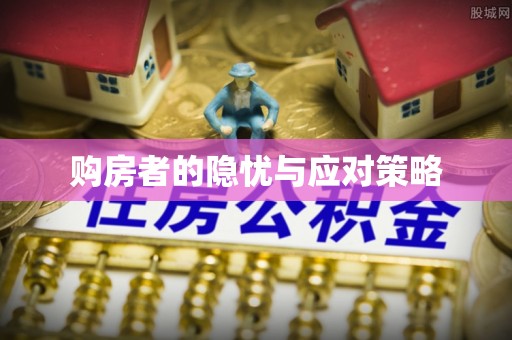 武都购房者的隐忧与应对策略