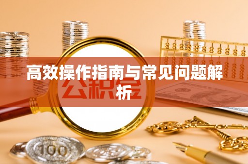 武都高效操作指南与常见问题解析