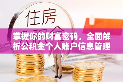 武都掌握你的财富密码，全面解析公积金个人账户信息管理与优化