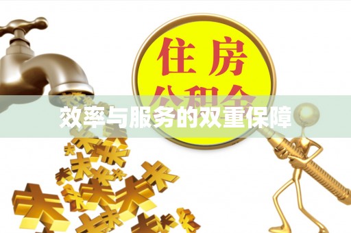 武都效率与服务的双重保障
