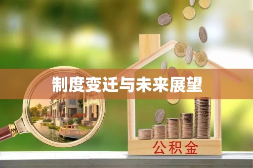 武都制度变迁与未来展望