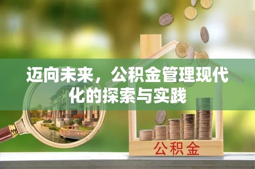 武都迈向未来，公积金管理现代化的探索与实践