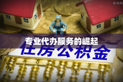 武都专业代办服务的崛起