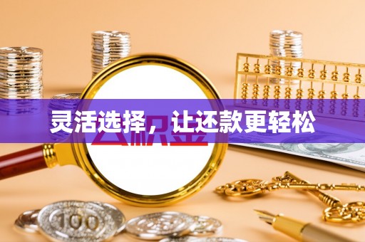 武都灵活选择，让还款更轻松