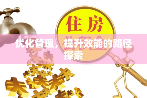 武都优化管理，提升效能的路径探索