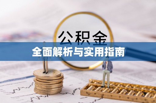 武都全面解析与实用指南