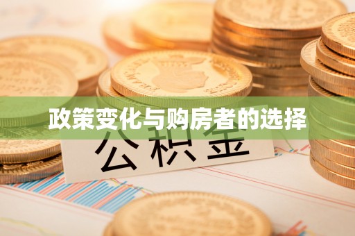 武都政策变化与购房者的选择