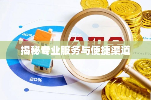 武都揭秘专业服务与便捷渠道