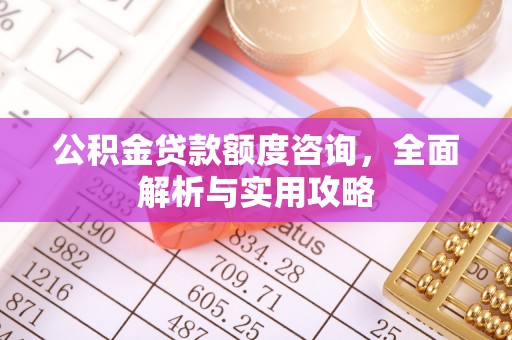 武都公积金贷款额度咨询，全面解析与实用攻略