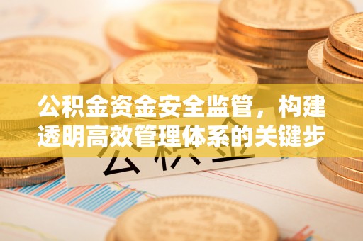 武都公积金资金安全监管，构建透明高效管理体系的关键步骤