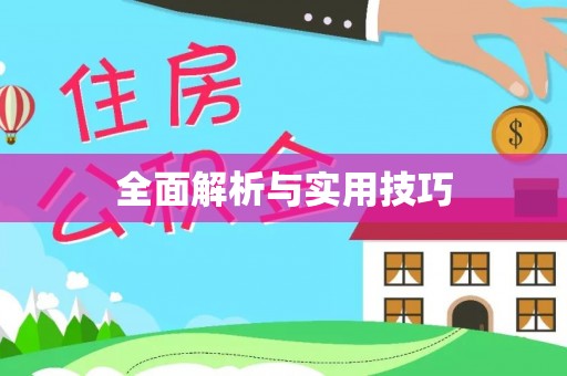 武都全面解析与实用技巧