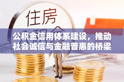 武都公积金信用体系建设，推动社会诚信与金融普惠的桥梁