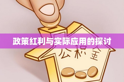 武都政策红利与实际应用的探讨
