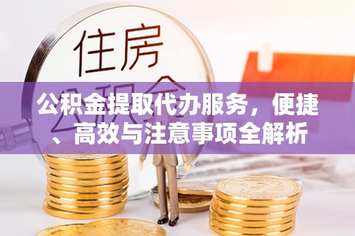 武都公积金提取代办服务，便捷、高效与注意事项全解析