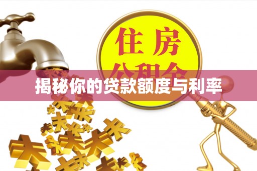 武都揭秘你的贷款额度与利率