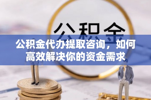 武都公积金代办提取咨询，如何高效解决你的资金需求