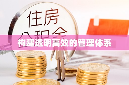 武都构建透明高效的管理体系