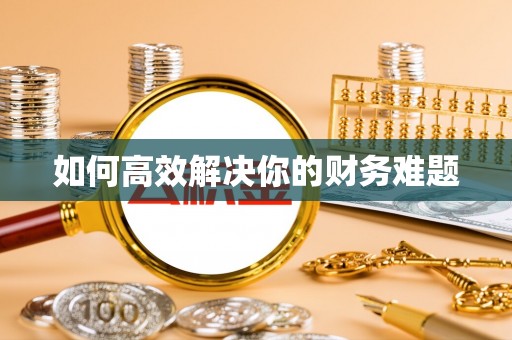 武都如何高效解决你的财务难题