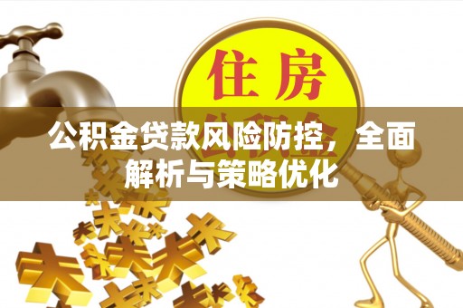 武都公积金贷款风险防控，全面解析与策略优化