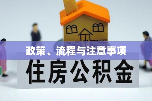 武都政策、流程与注意事项