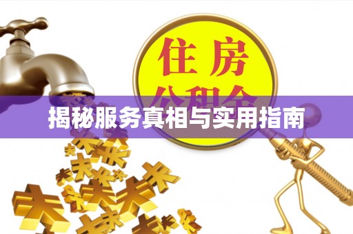 武都揭秘服务真相与实用指南